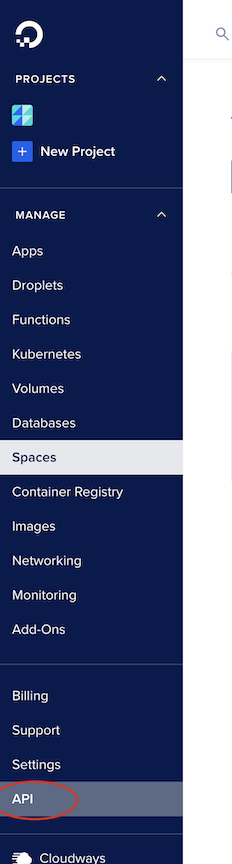 API Key tab